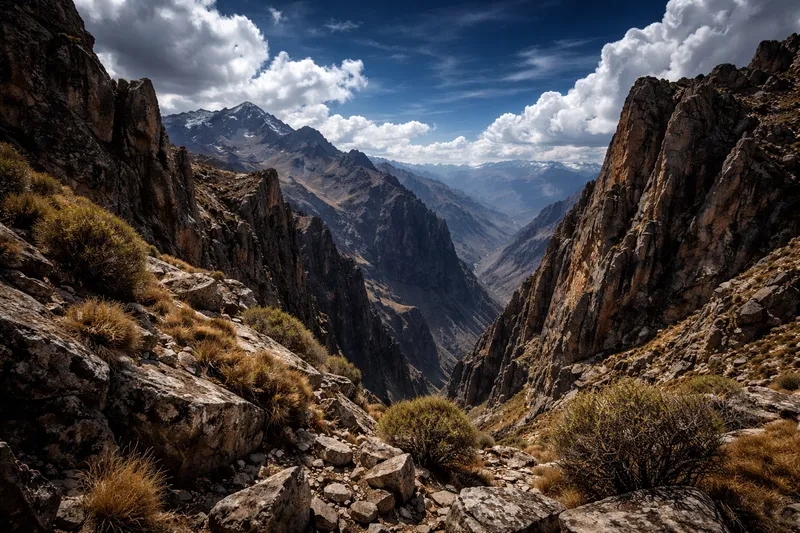 Hábitat de Águila Mora