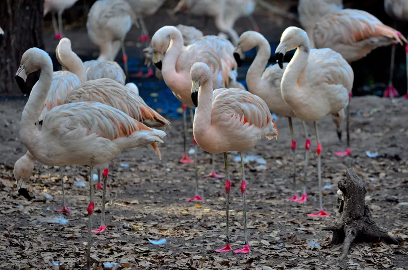 Tu Aventura Comienza Aquí