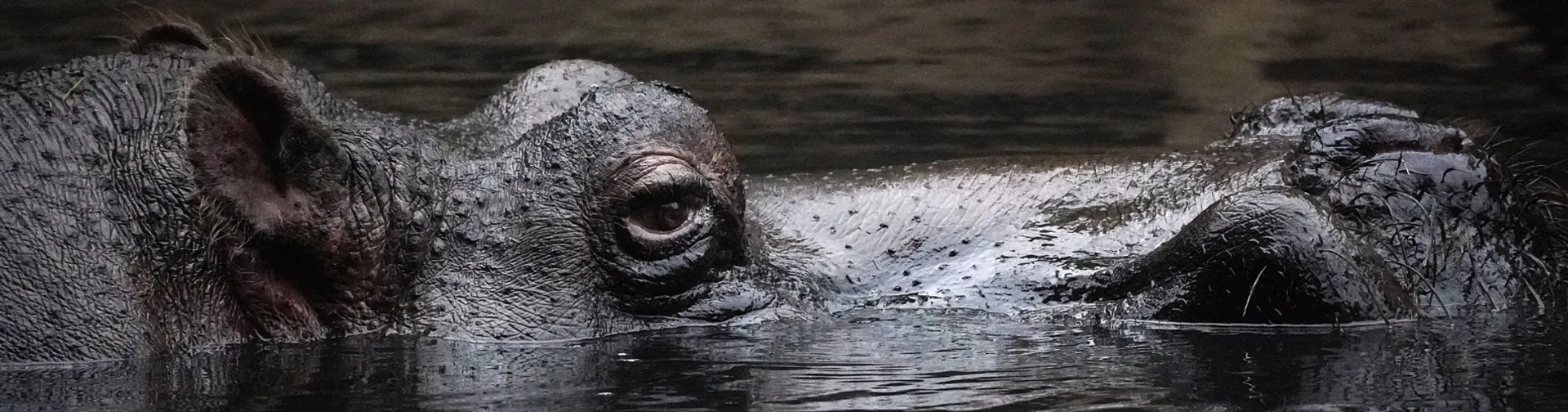 Tu Aventura Comienza Aquí