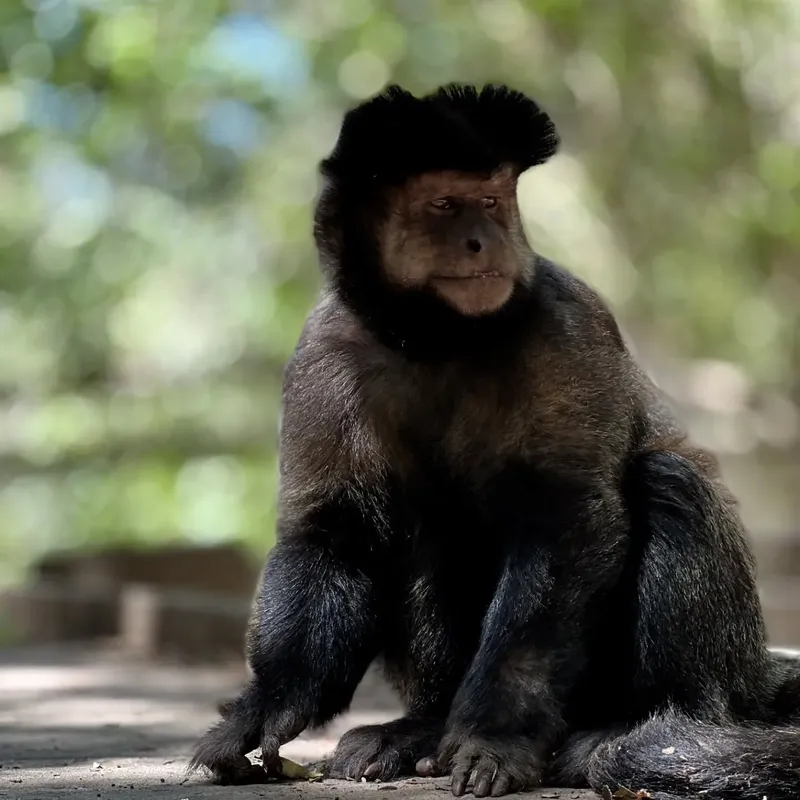 Aprendiendo a Cuidar Nuestro Planeta