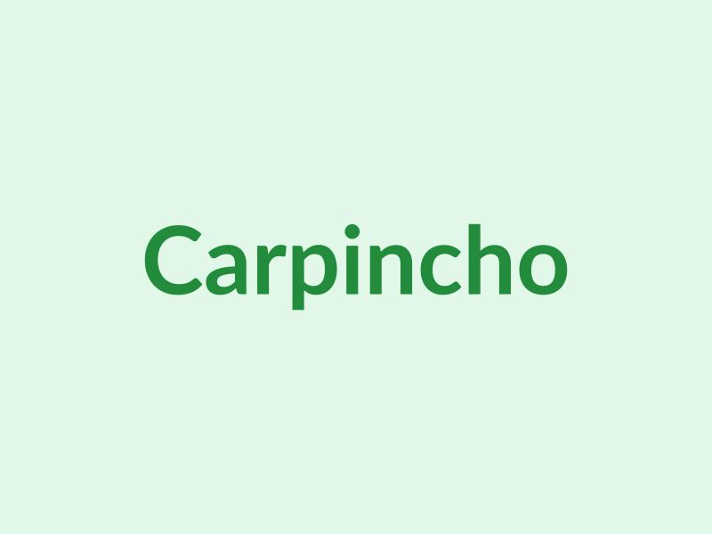 Carpincho