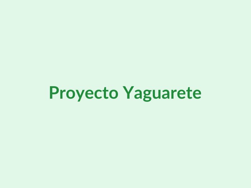Reproducción de Yaguareté