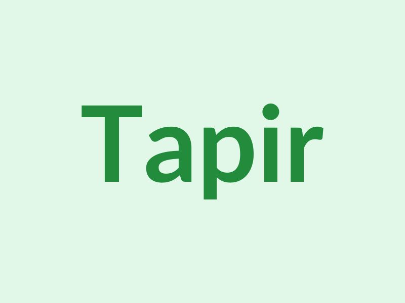 Tapir