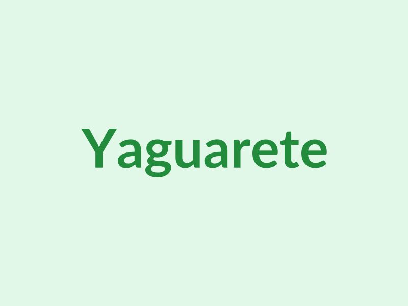 Yaguareté